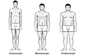 Morfološki tipi